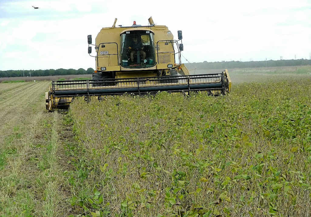 PROFIT BOOST: The soybean harvest gets under way in the Bundaberg region. PROFIT BOOST: The soybean harvest gets under way in the Bundaberg region.