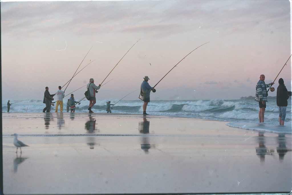 The state's largest recreational fishing survey has revealed around 642,000 Queenslanders wet a line, go crabbing or prawning. The state's largest recreational fishing survey has revealed around 642,000 Queenslanders wet a line, go crabbing or prawning.