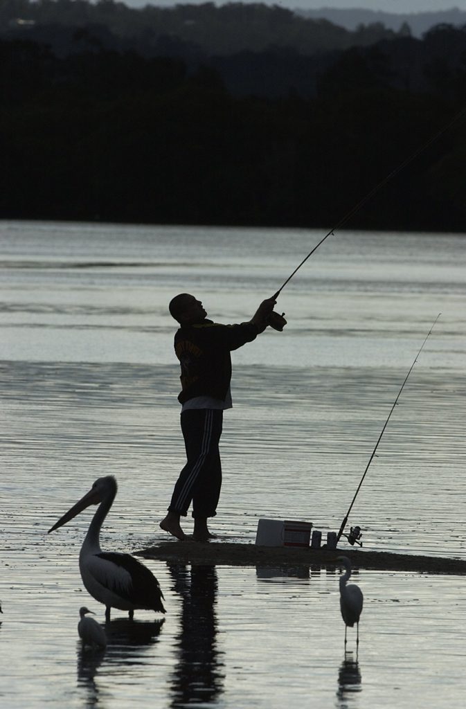 Looking to wet a line? A couple of species need a break for now, says Minister Furner. Looking to wet a line? A couple of species need a break for now, says Minister Furner.
