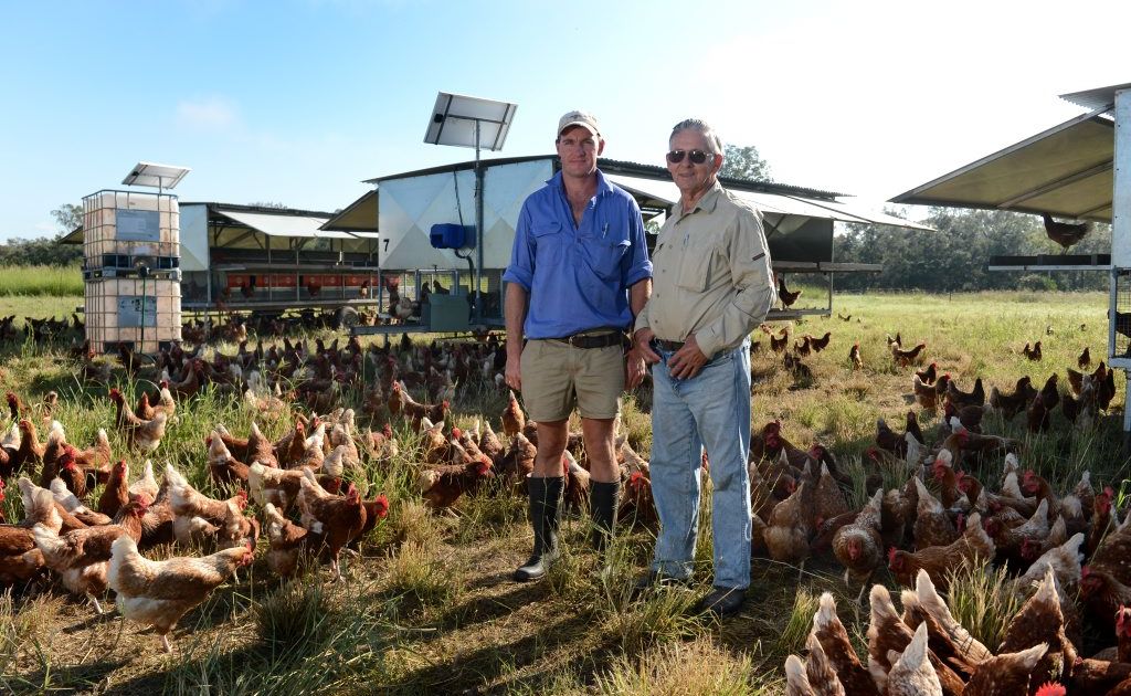 Silverdale Eggs manager Dan Carney and owner Rob Waterson are proud to be the only RSPCA approved free range egg producer in Queensland. Silverdale Eggs manager Dan Carney and owner Rob Waterson are proud to be the only RSPCA approved free range egg producer in Queensland.