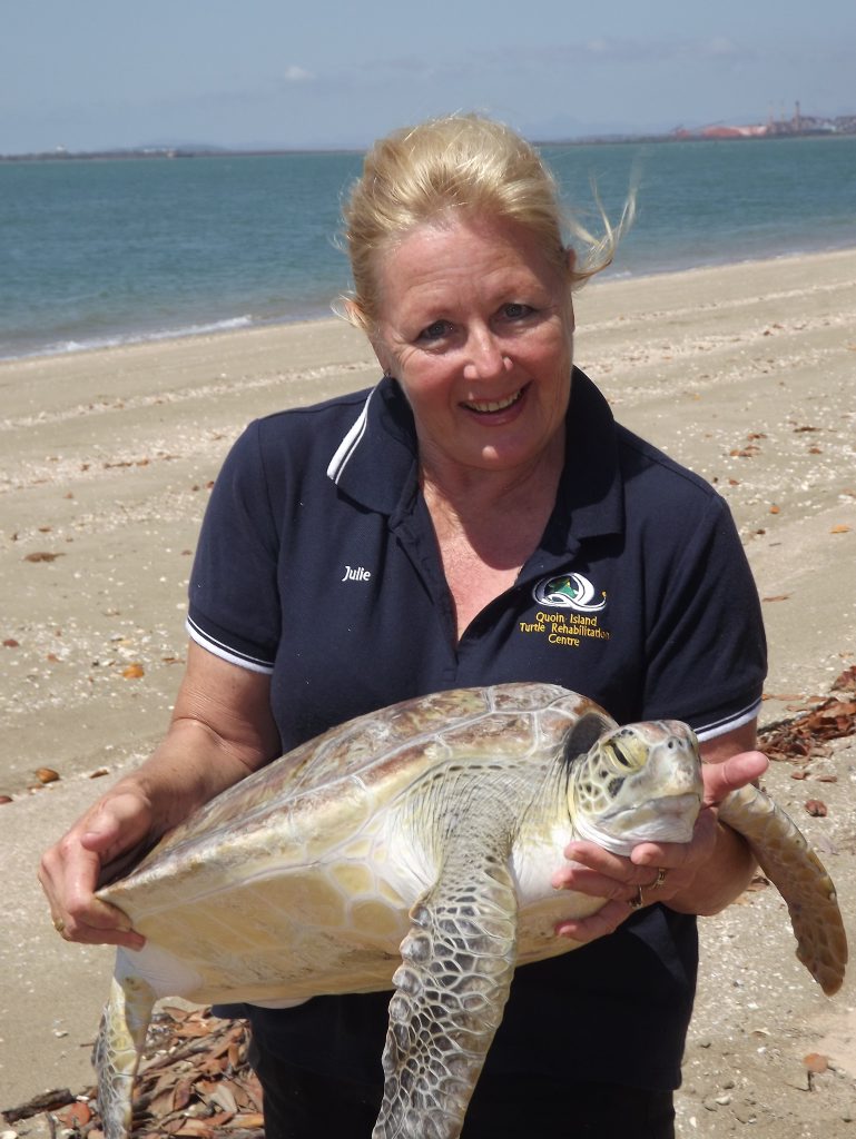 BE FREE: Julie Holland holding Alex, the eighth turtle to be released from the Quoin Island Turtle Rehabilitation Centre. BE FREE: Julie Holland holding Alex, the eighth turtle to be released from the Quoin Island Turtle Rehabilitation Centre.