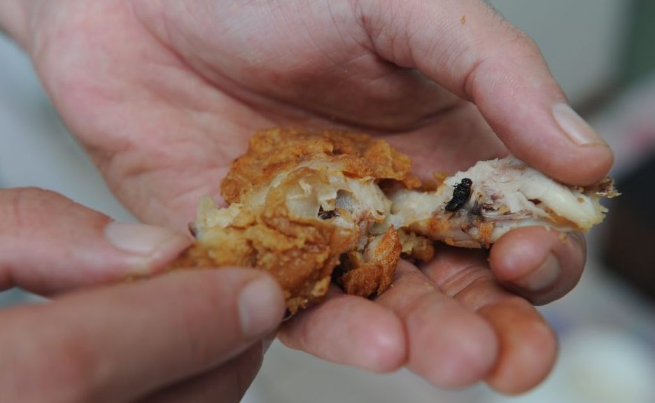 Ken Cavanagh found a fly in his fried chicken. Ken Cavanagh found a fly in his fried chicken.