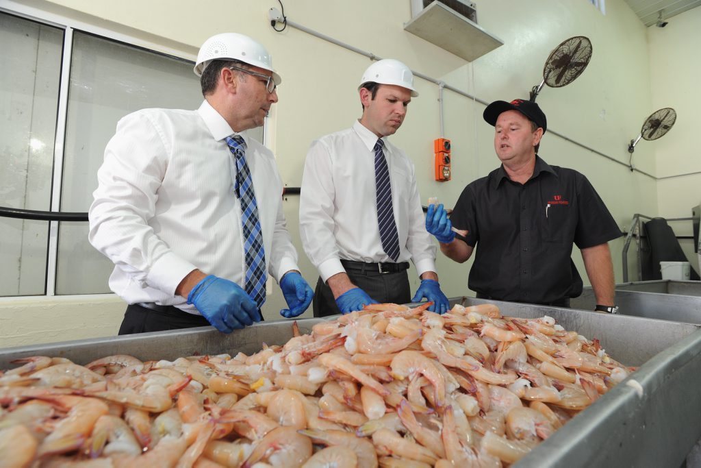 LNP candidate for Hinkler Keith Pitt and senate candidate Matthew Canavan talk with Paul Hodson from Urangan Fisheries in front of a tray of ocean king prawns from the Coral Sea. LNP candidate for Hinkler Keith Pitt and senate candidate Matthew Canavan talk with Paul Hodson from Urangan Fisheries in front of a tray of ocean king prawns from the Coral Sea.