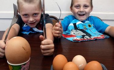 Alan Le Grice-Jones (left) and Logan Le Grice-Jones with the unusually large egg which would need an army of toast soldiers to knock off. Alan Le Grice-Jones (left) and Logan Le Grice-Jones with the unusually large egg which would need an army of toast soldiers to knock off.