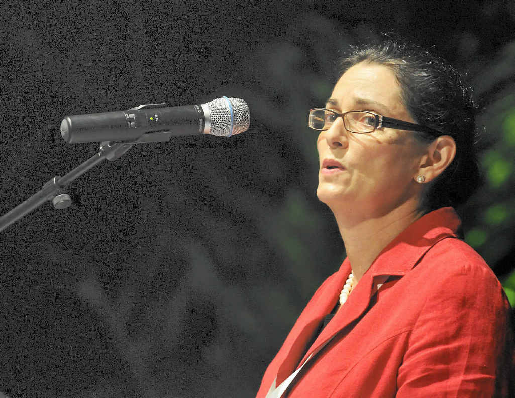 Bg Group Boss Says Lng Activists Could Hit Jobs Investment Queensland Times #australia #bg group plc #royal dutch shell.