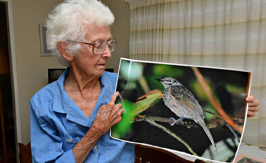Marj Andrews has led intrepid bird watchers from all around the world to the Clark Range west of Mackay for more than 15 years. Marj Andrews has led intrepid bird watchers from all around the world to the Clark Range west of Mackay for more than 15 years.