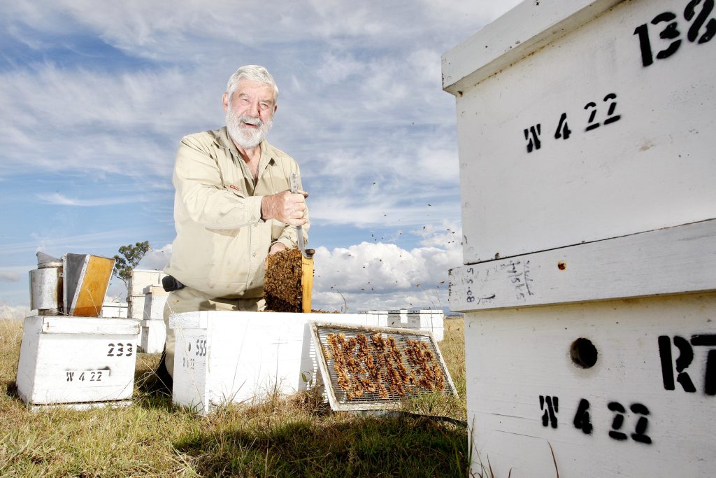 bees09c President of the Queensland Beekeepers Association Trevor Weatherhead with some of his bee hives. Photo: Sarah Harvey JN0910HC bees09c President of the Queensland Beekeepers Association Trevor Weatherhead with some of his bee hives. Photo: Sarah Harvey JN0910HC
