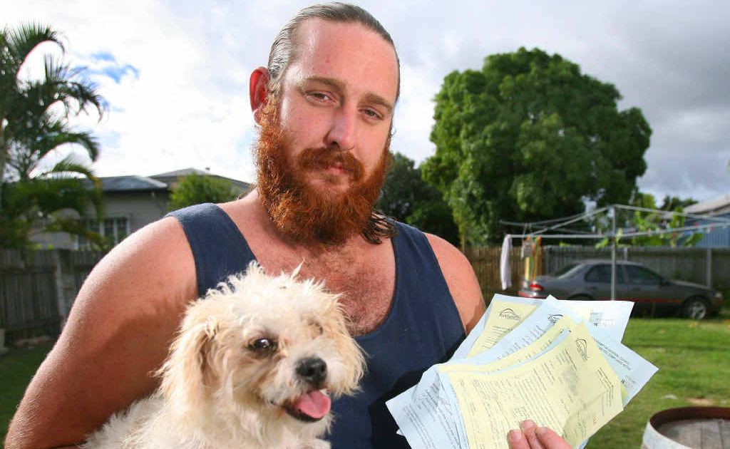 Bullet's escapes over two days has seen his owner cop thousands in fines. Bullet's escapes over two days has seen his owner cop thousands in fines.