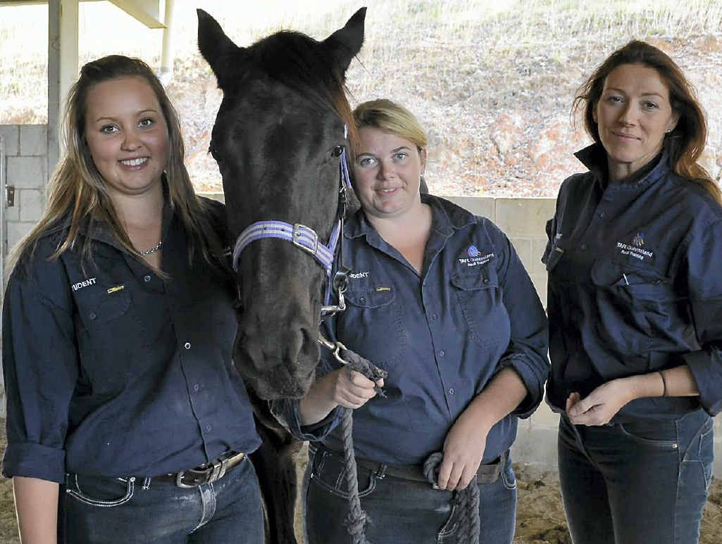 BENTLEY AND HIS GIRLS: Hannah Gunn, Lynette Williams and Nicola Garner with Warwick TAFE’s yearling colt, nicknamed Bentley, destined for the Magic Millions sales at the end of the month. BENTLEY AND HIS GIRLS: Hannah Gunn, Lynette Williams and Nicola Garner with Warwick TAFE’s yearling colt, nicknamed Bentley, destined for the Magic Millions sales at the end of the month.