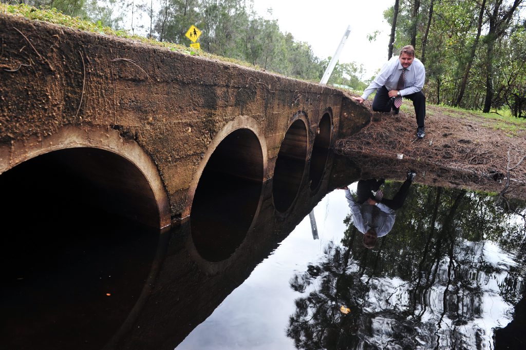 Flood mitigation for Moore Park Beach News Mail