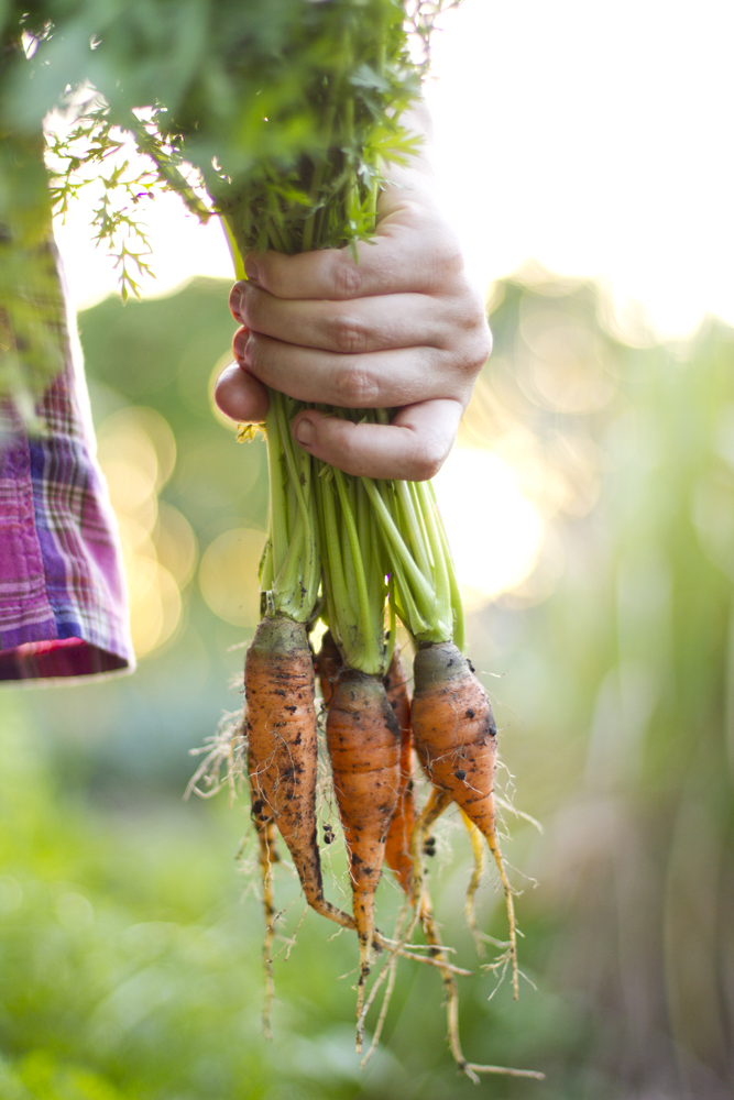 Photographers are invited to show how they Savour the Moment in the Relish Photography Competition. Photographers are invited to show how they Savour the Moment in the Relish Photography Competition.
