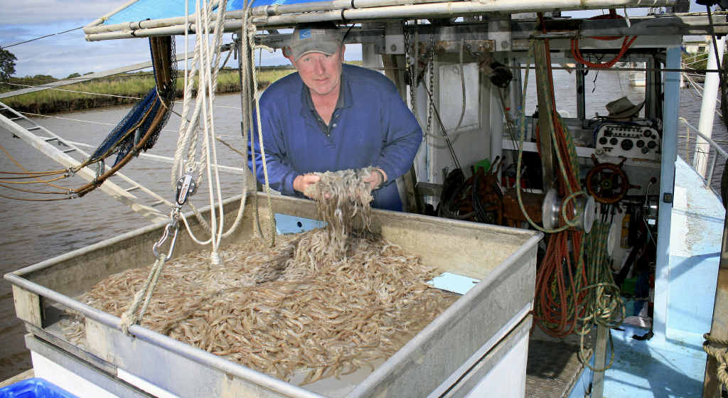 WORTH CATCHING?: Maclean-based trawler operator Bruce Ellem with his catch from his first day trawling Lake Wooloweyah this season. PHOTO: Rodney Stevens WORTH CATCHING?: Maclean-based trawler operator Bruce Ellem with his catch from his first day trawling Lake Wooloweyah this season. PHOTO: Rodney Stevens