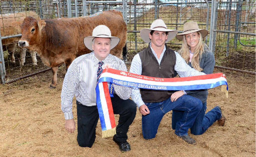 Judge Terry Nolan, Mitch Upton and partner Megan with the Grand Champion Prime Exhibit, a limousin heifer at yesterday’s Gympie Show. Judge Terry Nolan, Mitch Upton and partner Megan with the Grand Champion Prime Exhibit, a limousin heifer at yesterday’s Gympie Show.