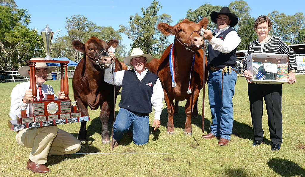 Stephen Duff, Jamie Hollis, Champion of Champions GK Arabella F11, Gavin Iseppi, Elizabeth Green the trophy donor pose for a photo at the Gympie Show yesterday. Stephen Duff, Jamie Hollis, Champion of Champions GK Arabella F11, Gavin Iseppi, Elizabeth Green the trophy donor pose for a photo at the Gympie Show yesterday.