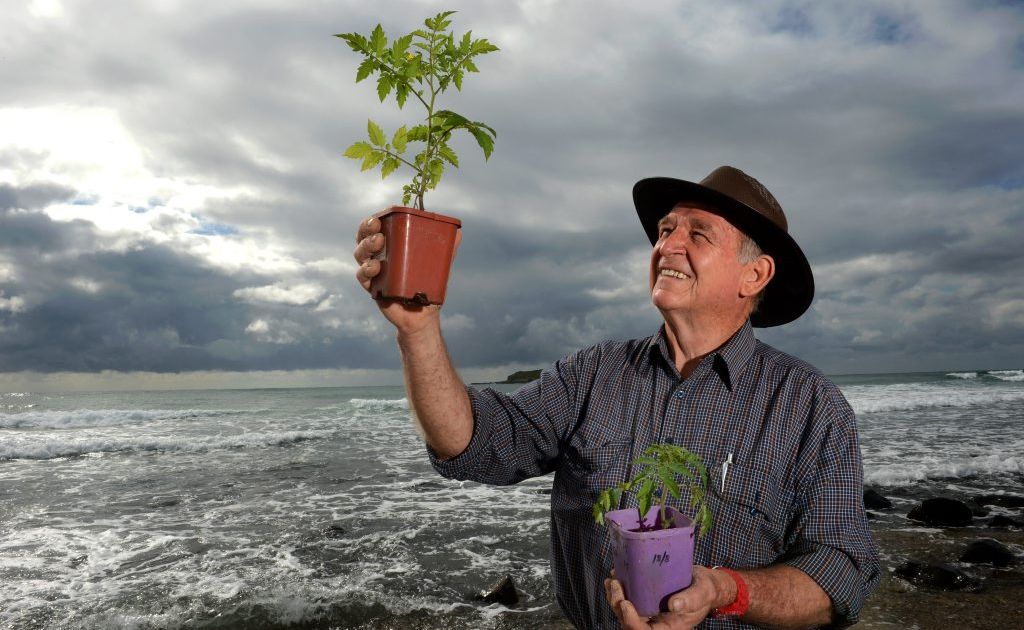 Bio-scientist Leyland Minter on the beach at Fingal Head. Bio-scientist Leyland Minter on the beach at Fingal Head.