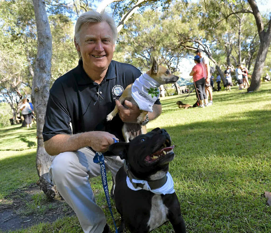 Dog trainer Steve Austin at the Million Paws Walk at Canoe Point, Tannum Sands. Dog trainer Steve Austin at the Million Paws Walk at Canoe Point, Tannum Sands.