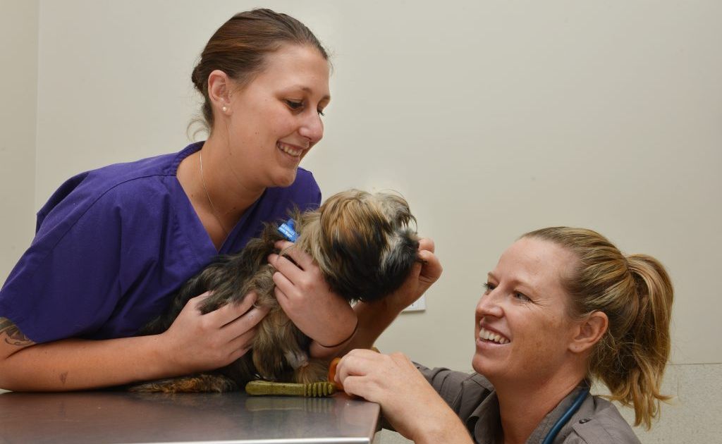 Hayley Green and Holly Goldring with Bently the dog. Hayley Green and Holly Goldring with Bently the dog.