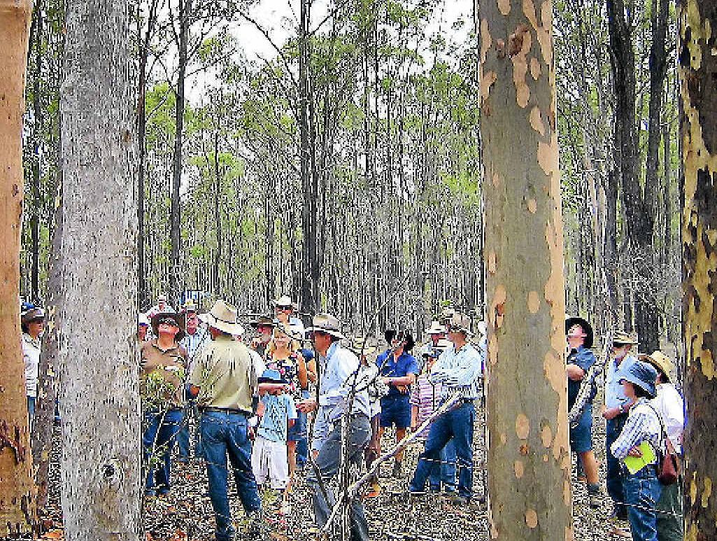 VALUE ADD: The timber information day will provide valuable knowledge to landholders. VALUE ADD: The timber information day will provide valuable knowledge to landholders.