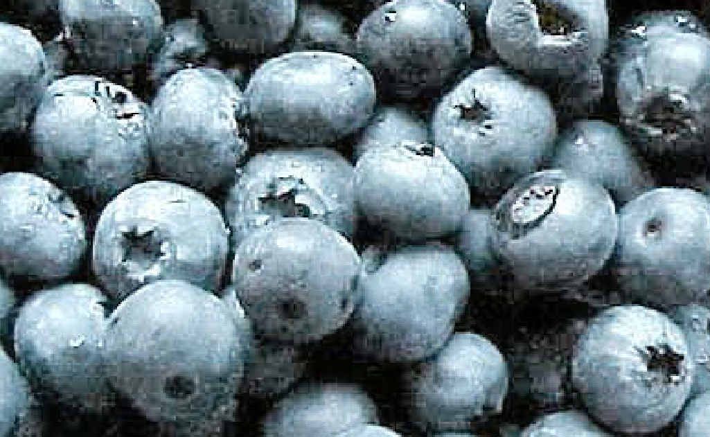 Blueberries are full of antioxidants, vitamin C, iron and enzymes with anti-inflammatory properties. Blueberries are full of antioxidants, vitamin C, iron and enzymes with anti-inflammatory properties.