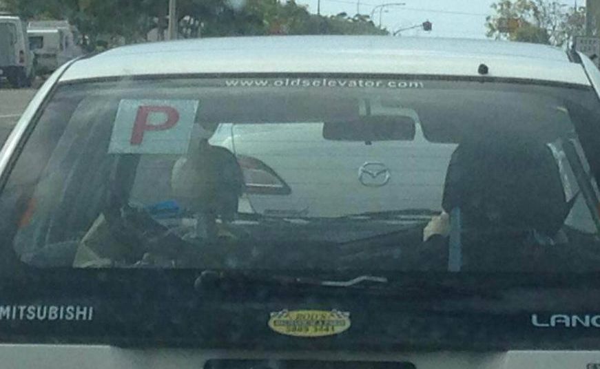 Amanda Panichelli snapped this photo as she was driving down Takalvan St. Amanda Panichelli snapped this photo as she was driving down Takalvan St.