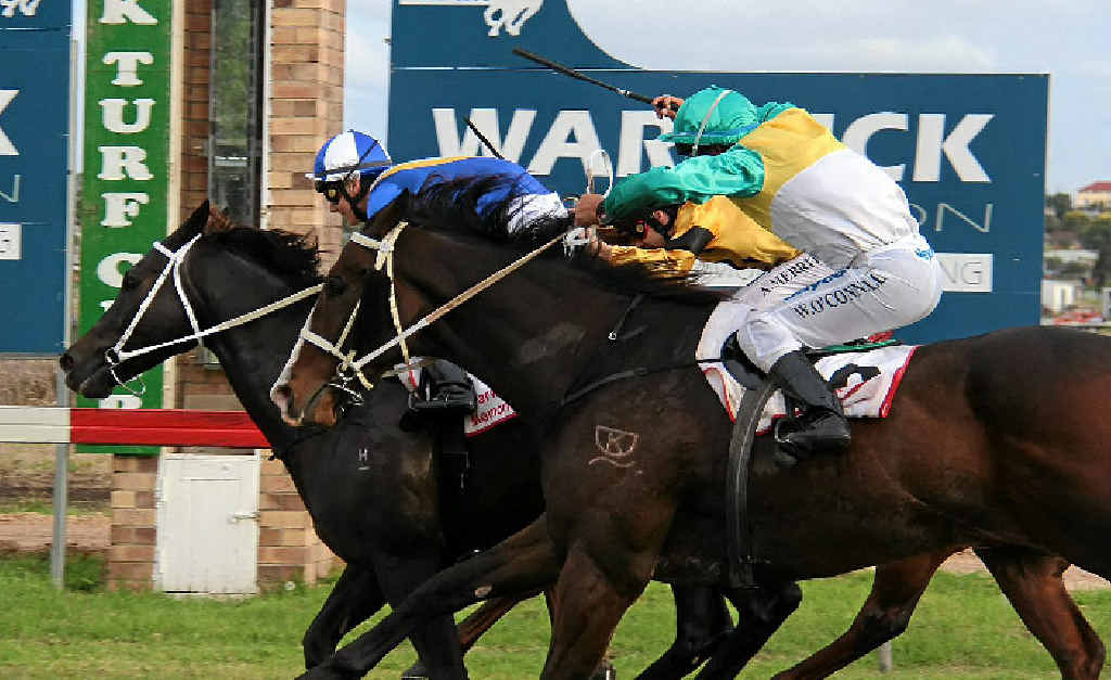 WIN: Tea Tattle wins the cup from Street Sister (closest to the rail) and Cappin Jack at Allman Park on Saturday. WIN: Tea Tattle wins the cup from Street Sister (closest to the rail) and Cappin Jack at Allman Park on Saturday.