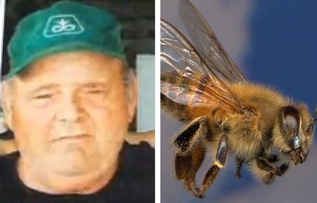 Larry Goodwin had been using a tractor to help a friend build a brush pile on Saturday afternoon when he disturbed a large Africanised honey bee hive concealed in a chicken coop. Larry Goodwin had been using a tractor to help a friend build a brush pile on Saturday afternoon when he disturbed a large Africanised honey bee hive concealed in a chicken coop.