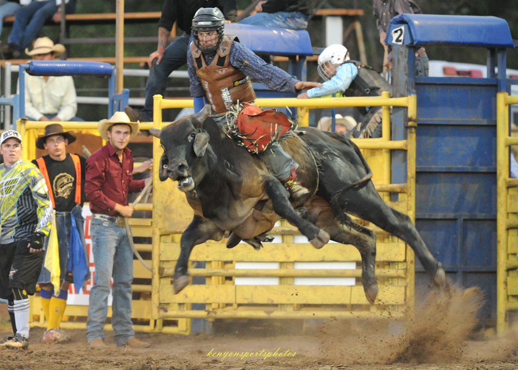 Maryborough's Cordie Fergus is regarded as a rising star in bull riding. Maryborough's Cordie Fergus is regarded as a rising star in bull riding.