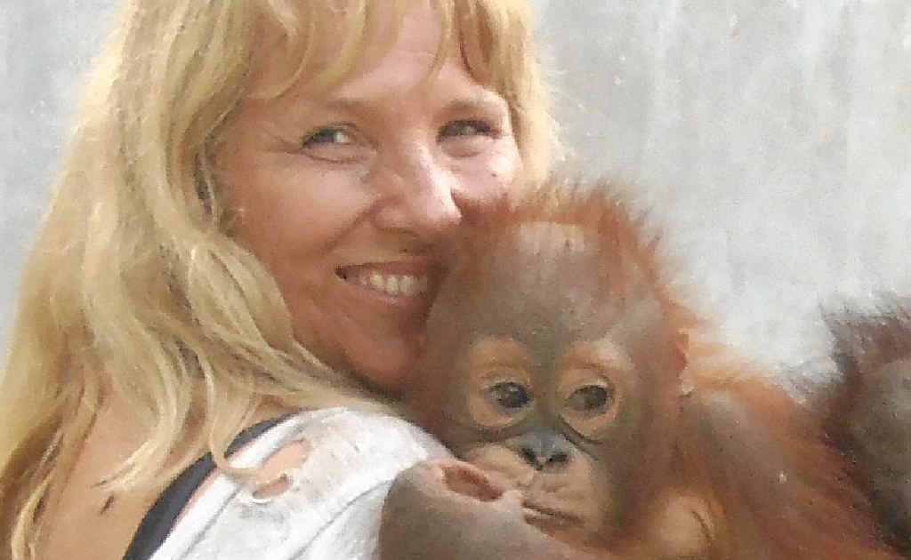 HELPING: Kobe Steele with Tommy, one of the orangutans at the Orangutan Foundation International Orphan Care Centre in Central Kalimantan, Borneo. HELPING: Kobe Steele with Tommy, one of the orangutans at the Orangutan Foundation International Orphan Care Centre in Central Kalimantan, Borneo.