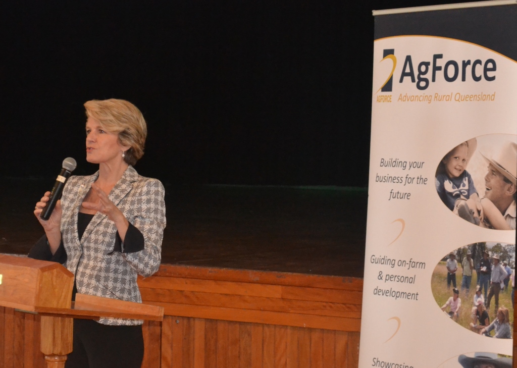 Julie Bishop addresses Agforce forum in Roma this morning.