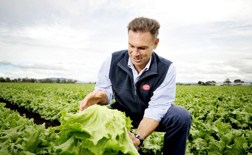 Matt Hood, director of Rugby Farms, Gatton, named AUSVEG Farmer of the Year. Matt Hood, director of Rugby Farms, Gatton, named AUSVEG Farmer of the Year.