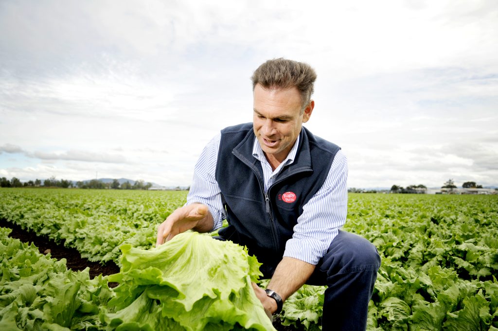 Matt Hood, director of Rugby Farms, Gatton, named AUSVEG Farmer of the Year. Matt Hood, director of Rugby Farms, Gatton, named AUSVEG Farmer of the Year.