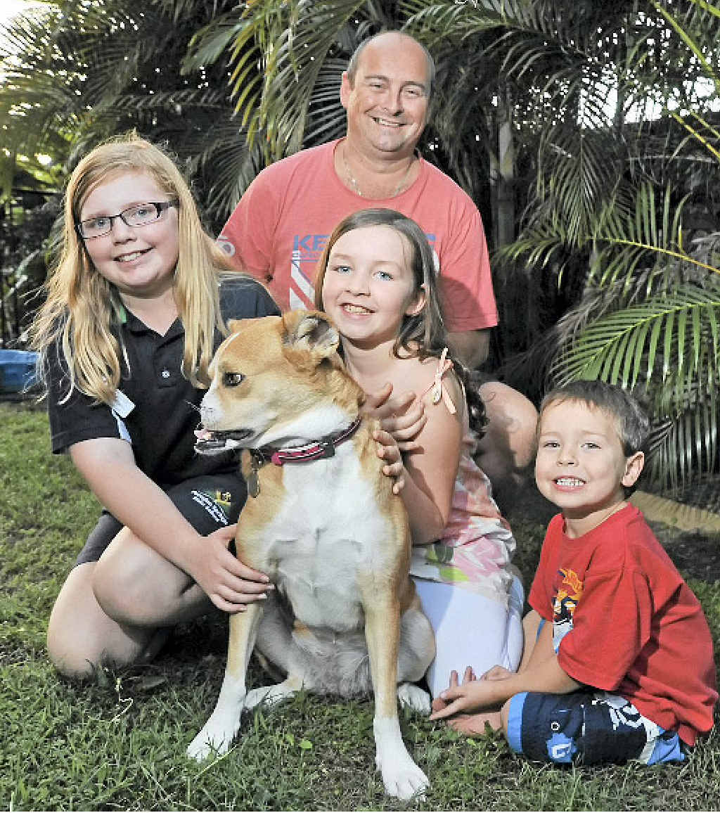 The Davies family from Peregian Springs have adopted Fijian dog, Poppy, who was given major reconstructive surgery after having her nose cut off by a machete in a hunting accident. Pictured are Mark Davies with his kids, India, 12, Sienna, 9, and Jax, 4. The Davies family from Peregian Springs have adopted Fijian dog, Poppy, who was given major reconstructive surgery after having her nose cut off by a machete in a hunting accident. Pictured are Mark Davies with his kids, India, 12, Sienna, 9, and Jax, 4.