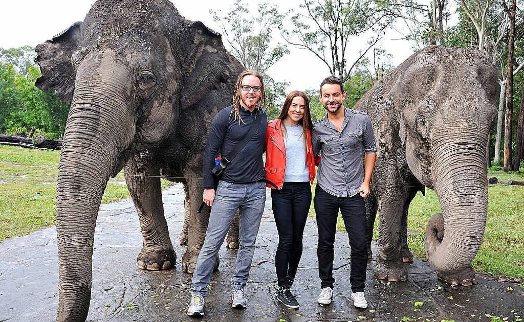 Actors Tim Minchin, Melanie Chisholm and Ben Forster with some newfound friends at Australia Zoo. Actors Tim Minchin, Melanie Chisholm and Ben Forster with some newfound friends at Australia Zoo.