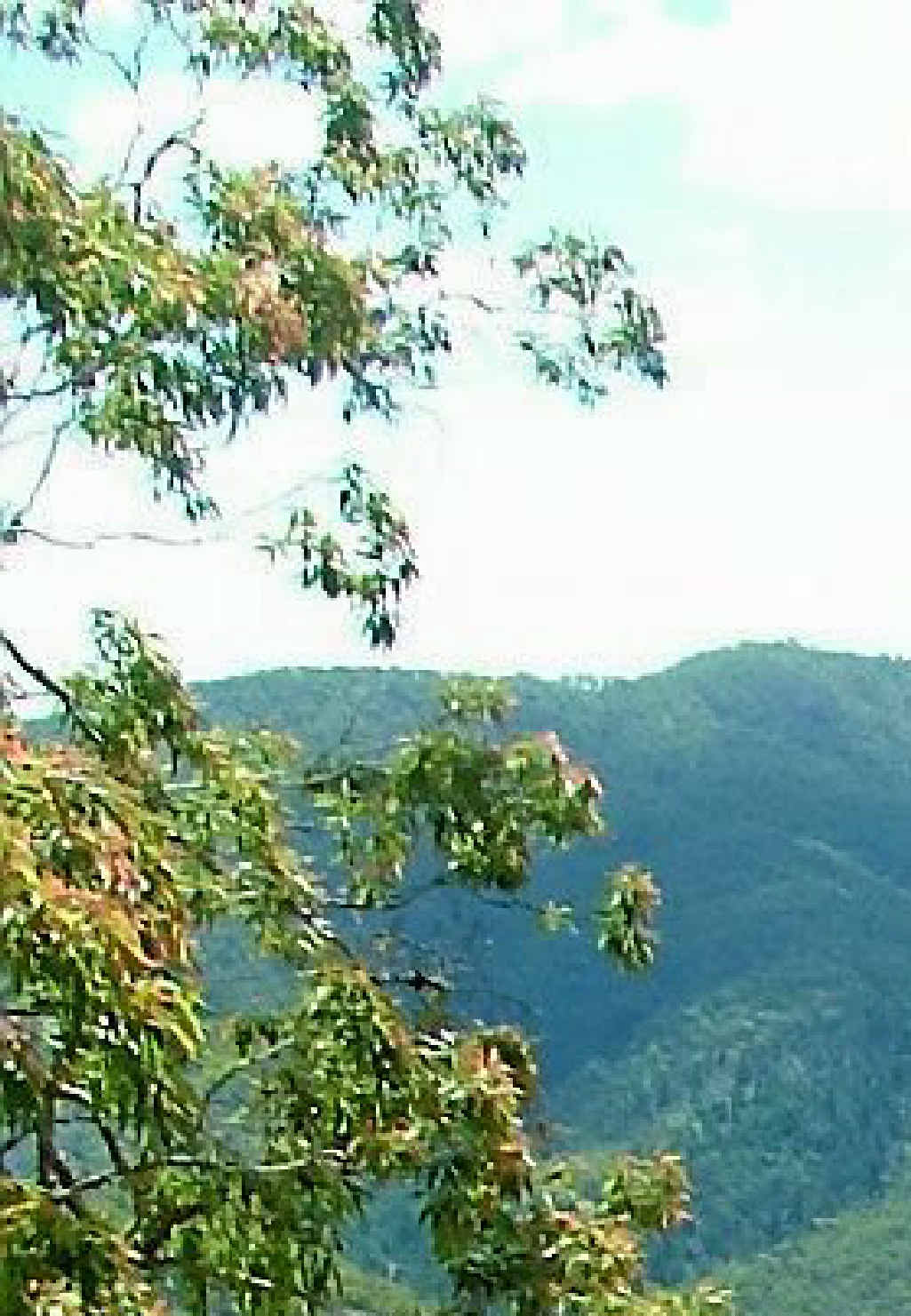 A view of Kroombit Tops. A view of Kroombit Tops.