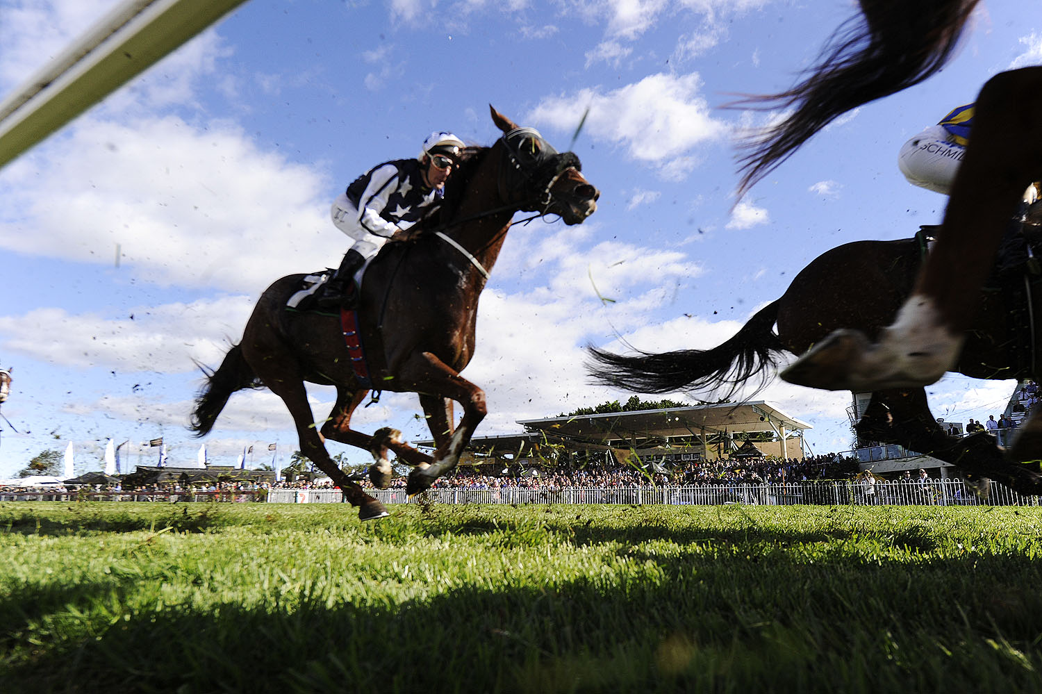 Thosands gathered at Bundamba Racetrack to celebrate the Ipswich Cup. Thosands gathered at Bundamba Racetrack to celebrate the Ipswich Cup.