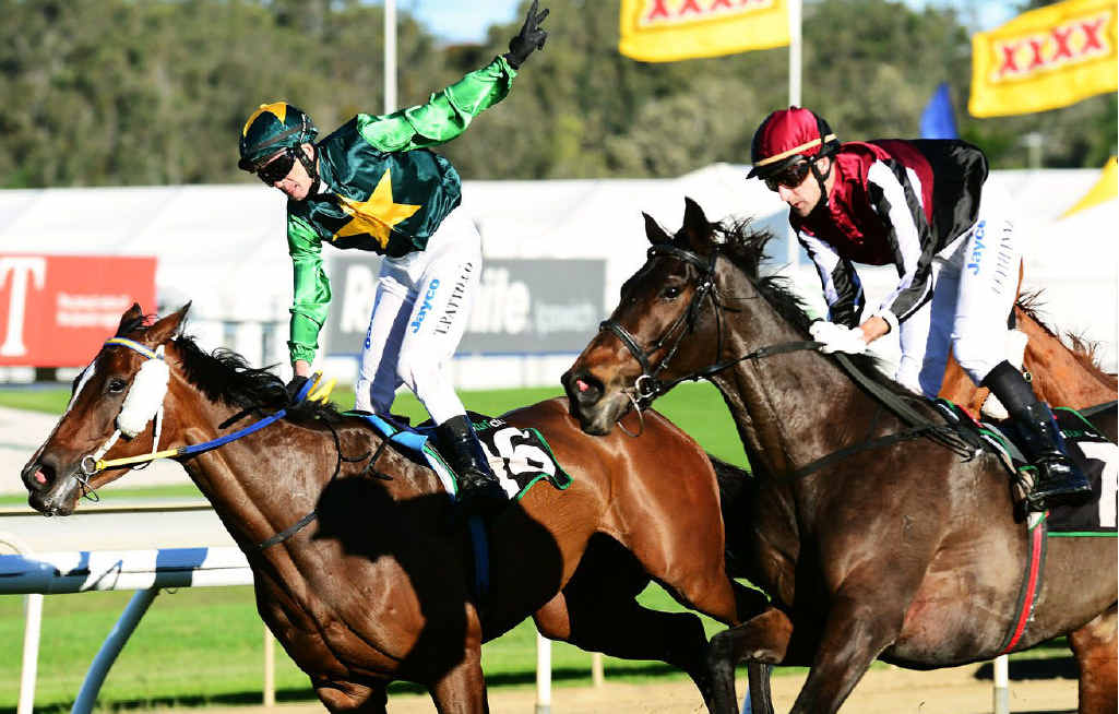 GO QUEENSLANDER: Gold Coast mare Anagold and jockey Anthony Pattillo are past the post after winning the Cup with a storming run for the line. GO QUEENSLANDER: Gold Coast mare Anagold and jockey Anthony Pattillo are past the post after winning the Cup with a storming run for the line.