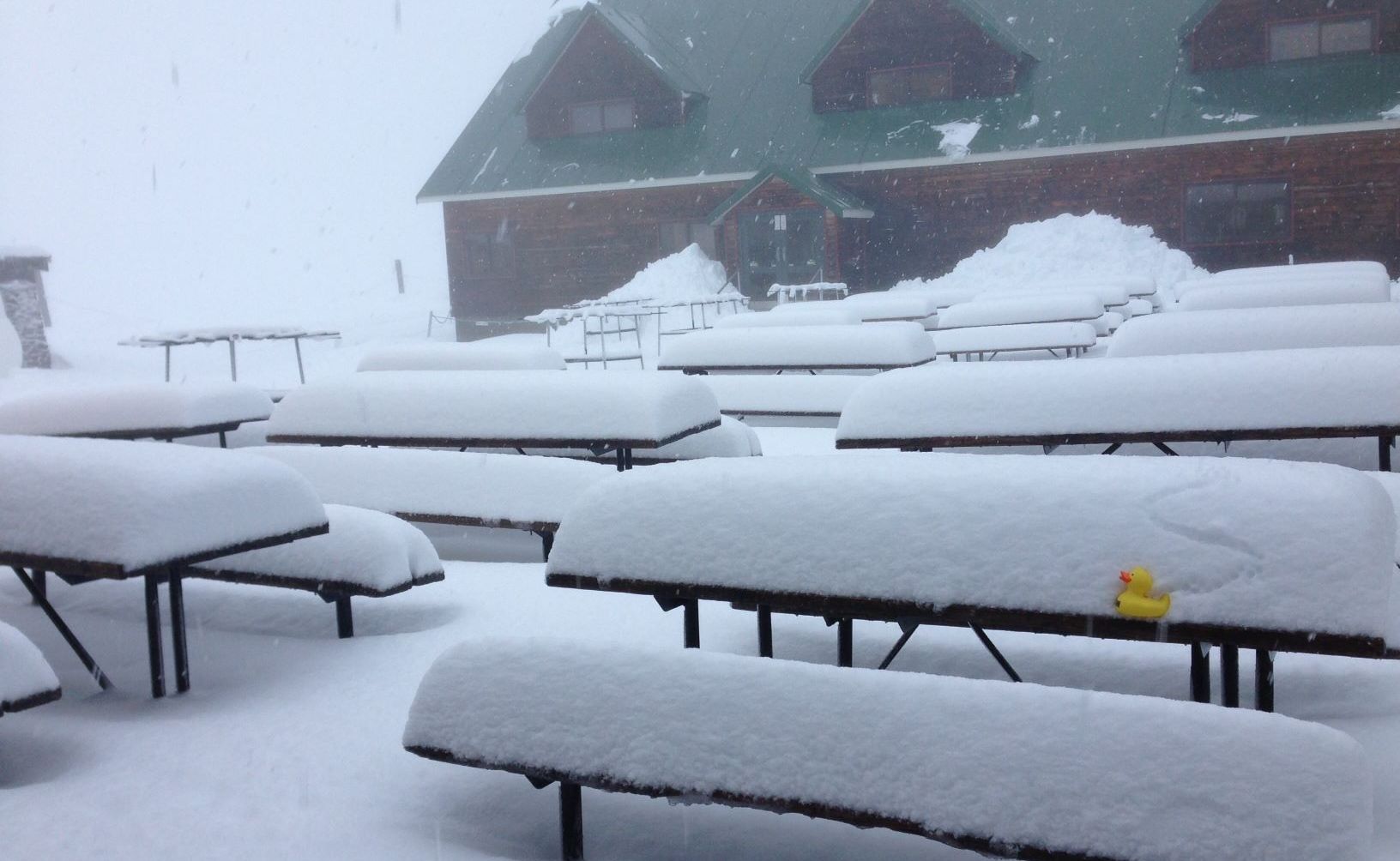 This photo posted on their Facebook page shows the snow coverage at Cardrona Alpine Resort, near Wanaka. This photo posted on their Facebook page shows the snow coverage at Cardrona Alpine Resort, near Wanaka.