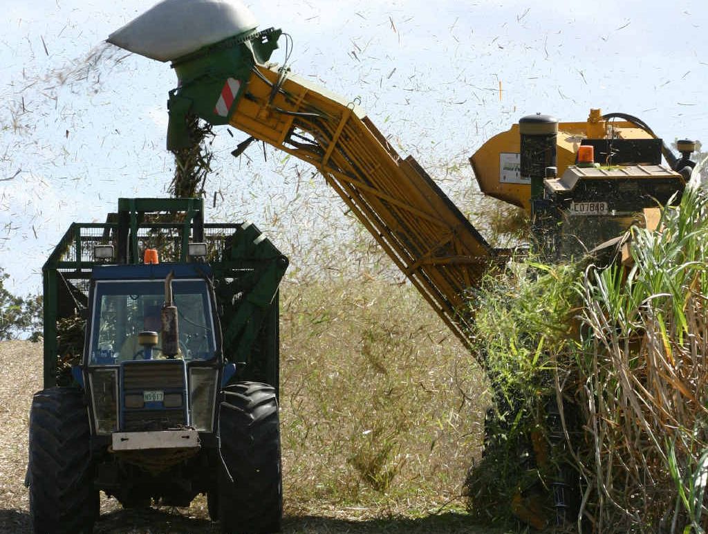 HARVEST IMPACT: The Maryborough cane harvest will be severely impacted by this year’s floods. HARVEST IMPACT: The Maryborough cane harvest will be severely impacted by this year’s floods.