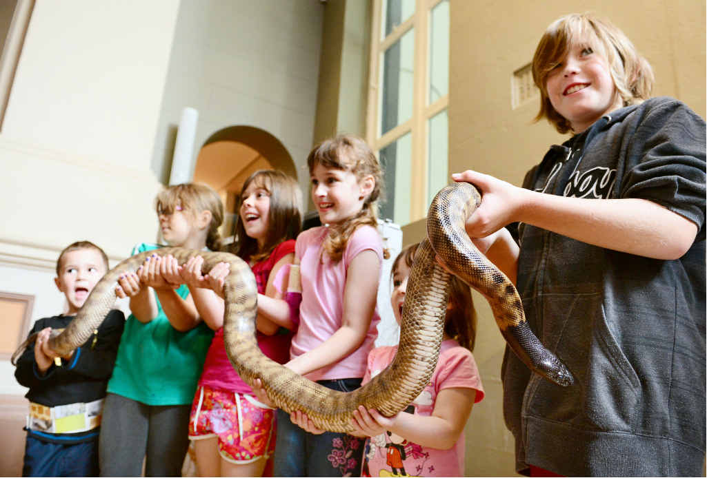 FUN TIMES: A long list of activities will help Ipswich kids beat the winter school holiday boredom. FUN TIMES: A long list of activities will help Ipswich kids beat the winter school holiday boredom.