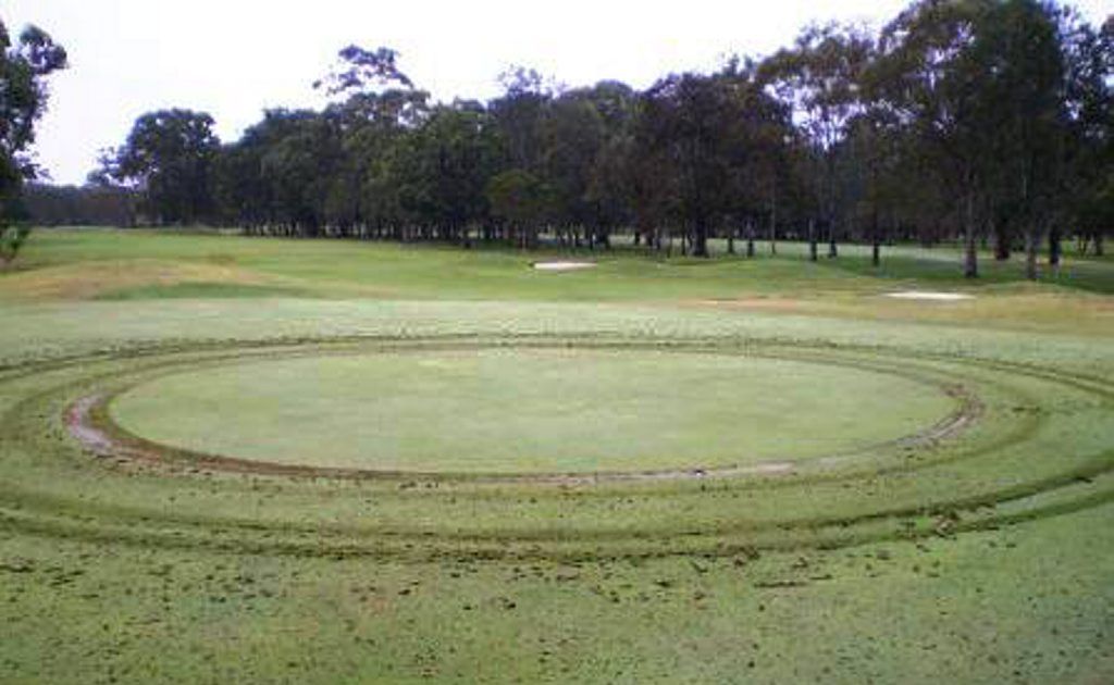 The mysterious circles at the Coolangatta Tweed Golf Club The mysterious circles at the Coolangatta Tweed Golf Club