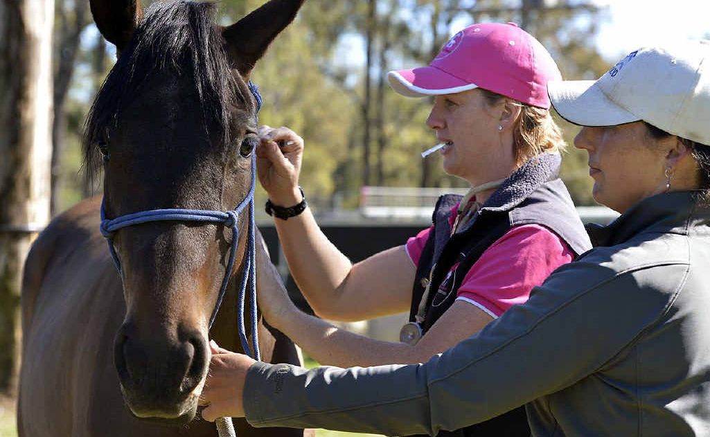Dr Louise Cosgrove prepares to vaccinate a mare against the hendra virus with owner Maryanne Gough at a Lowood property. Dr Louise Cosgrove prepares to vaccinate a mare against the hendra virus with owner Maryanne Gough at a Lowood property.