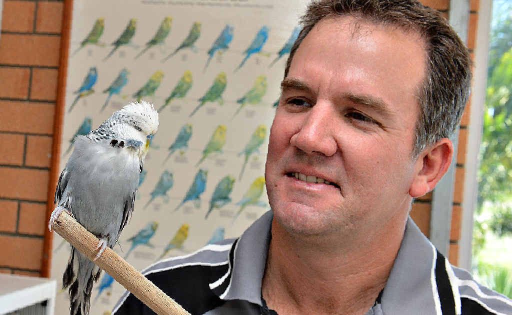 Mackay man Michael Pace has won the opaline class of the Australian National Budgerigar Championships with a bird that took four years of tireless effort to produce. Mackay man Michael Pace has won the opaline class of the Australian National Budgerigar Championships with a bird that took four years of tireless effort to produce.