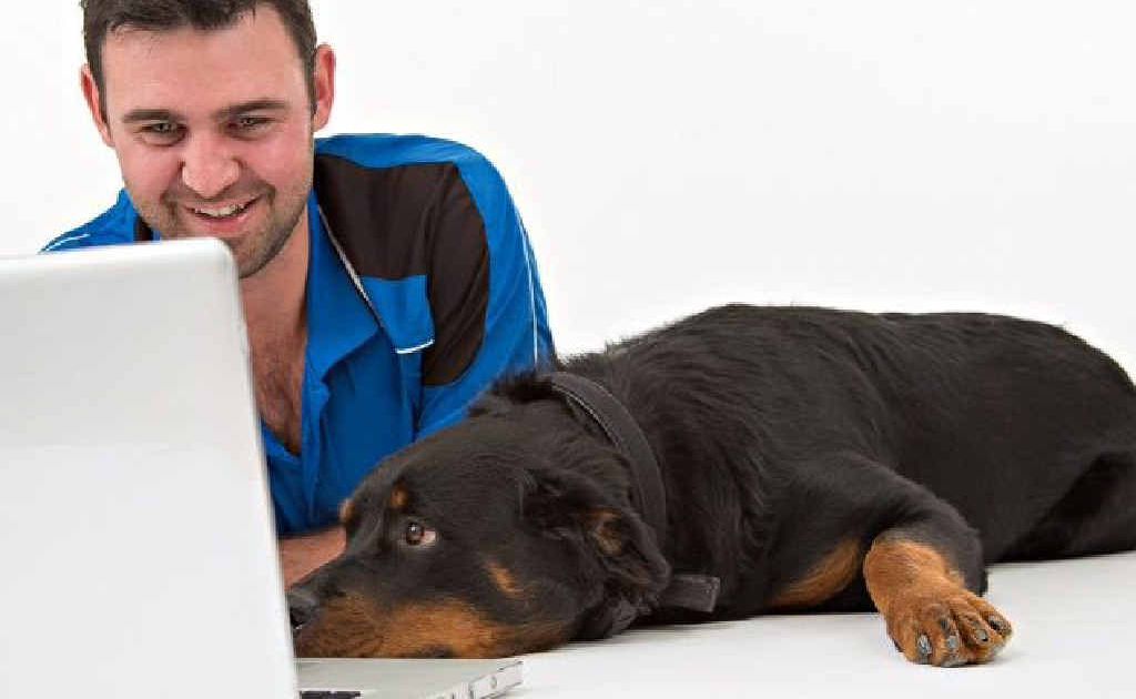 Daniel Rose, of Kadan K9 Training, and rottweiler Zylah Magnussen, check out an online course. Zylah, a nine-month-old puppy, is learning the ropes with Kadan K9 Training. Daniel Rose, of Kadan K9 Training, and rottweiler Zylah Magnussen, check out an online course. Zylah, a nine-month-old puppy, is learning the ropes with Kadan K9 Training.