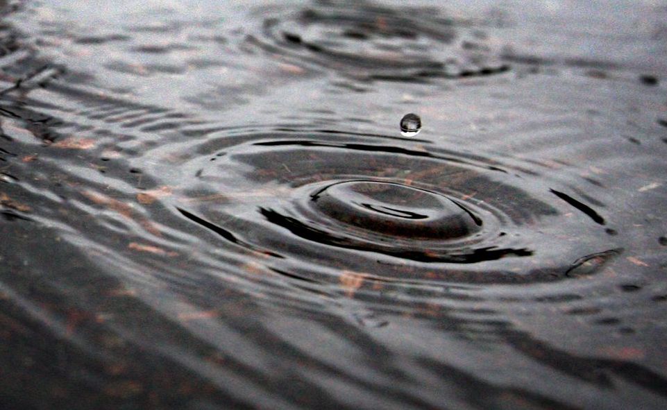 Tweed Shire Council is offering a 50% rebate, with a maximum of $100, on eligible water saving shower heads, basin and sink spouts, mixers, aerators and flow controllers/regulators. Tweed Shire Council is offering a 50% rebate, with a maximum of $100, on eligible water saving shower heads, basin and sink spouts, mixers, aerators and flow controllers/regulators.