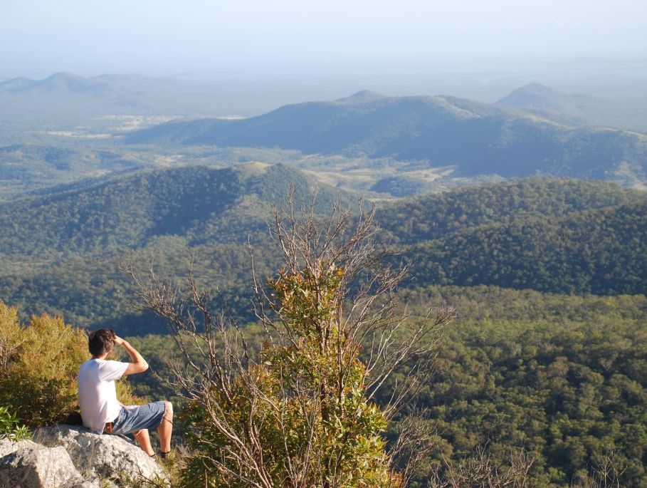 The view from Mount Larcom peak, near Gladstone. The view from Mount Larcom peak, near Gladstone.