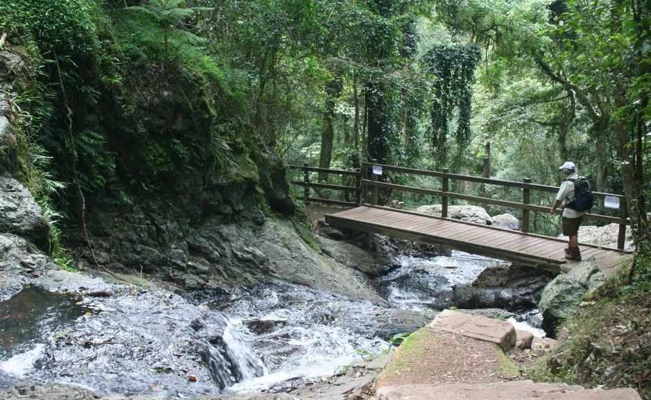 Bunya Mountains, Queensland. Bunya Mountains, Queensland.