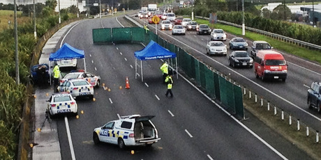 The vehicle was finally stopped on the Northern Motorway at Mairangi Bay. The vehicle was finally stopped on the Northern Motorway at Mairangi Bay.