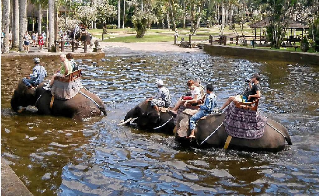 Tourists at the Elephant Safari Park at Taro in Bali. Tourists at the Elephant Safari Park at Taro in Bali.
