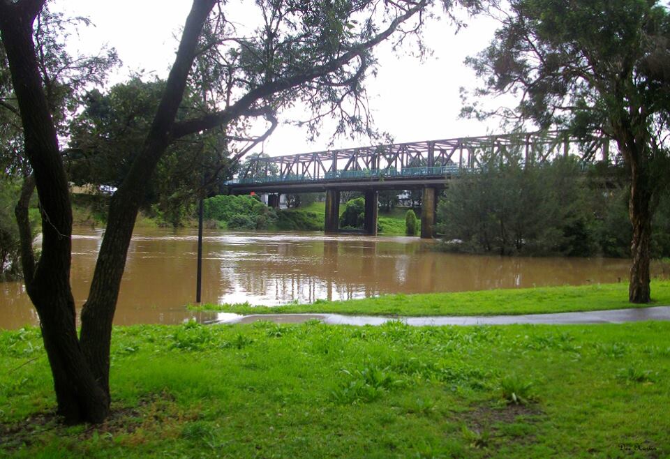 Images from across the Northern Rivers posted to The Northern Star's Facebook page. Images from across the Northern Rivers posted to The Northern Star's Facebook page.