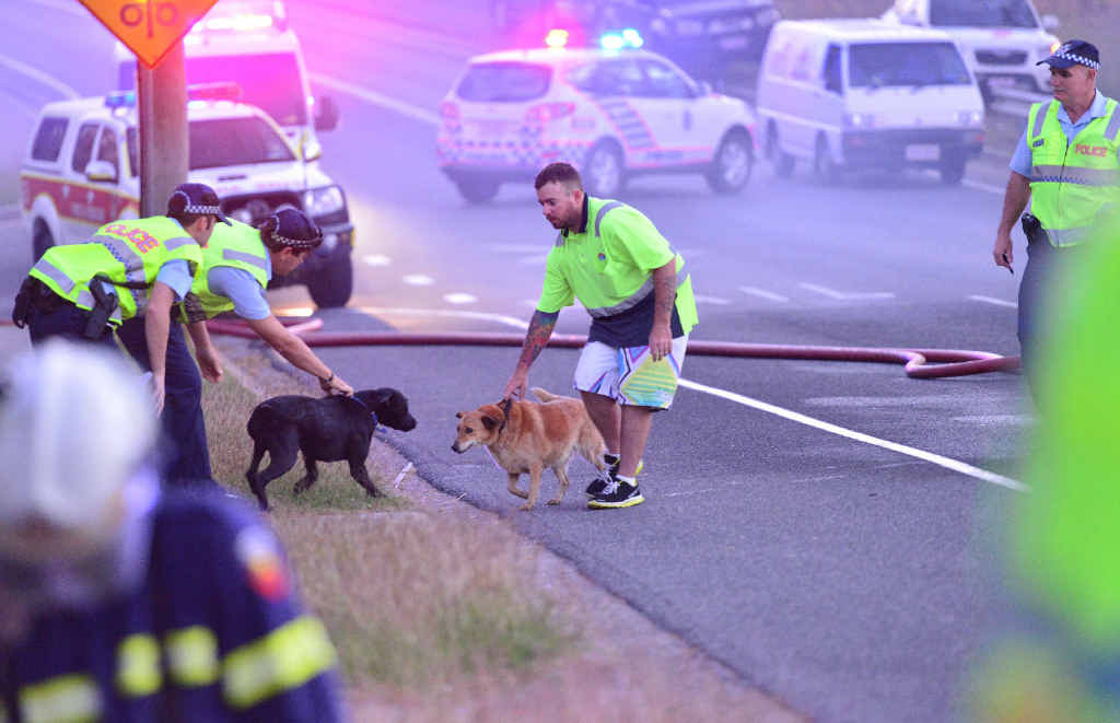 Ben Challen is reunited with his dogs after the fire. Ben Challen is reunited with his dogs after the fire.